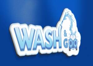 Wash and go logo