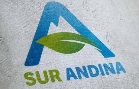 surandina logo