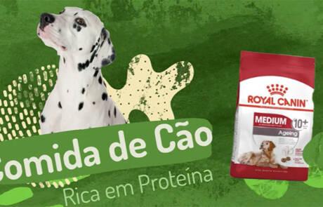 video promocional redes sociais pet food