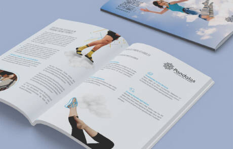 redesign outono:inverno lookbook pandalas